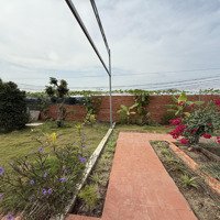 Bán Trang Trại View Đẹp Tại Đường 835, Phước Lợi, Bến Lức, Long An, 10 Triệu/M2, 1830 M2