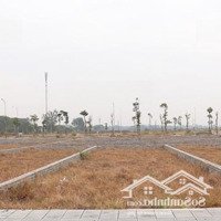 Bán Đất Tiền Phong, Yên Dũng, Bắc Giang, 16 Triệu / M2, 90 M2, Giá Cực Chất