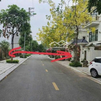 Chính Chủ Bán Đất Dịch Vụ Trạm Trôi Diện Tích 73,2 M, Đất Đẹp Vuông Vức, Không Lỗi