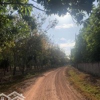 Bán Đất Hoà Lợi, Tp Bến Cát, Bình Dương
