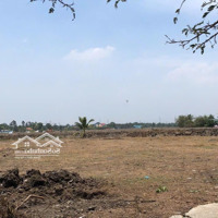 Cần Bán Lô Đấtmặt Tiềnđường Võ Trần Chí (Tân Tạo Chợ Đêm). Giá Bán 6 Triệu/M2 Quá Rẻ Cho Đất Mặt Tiền