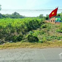 Bán Đất Bao Thổ Cư Tại Phú Giáo, Bình Dương, Ngay Cạnh Chợ An Linh, Giá Cực Tốt Chỉ 325 Triệu