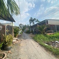 Đất Xã Phước Thạnh Thổ Đẹp Xây Liền (Hàng Hiếm)