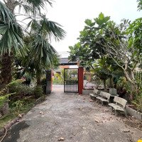 Bán Đất Vườn 1659M2 Tại Mỹ Lộc, Có 700M2 Thổ Cư, Nhà To 200M2 Trên Đất - Phù Hợp An Cư Nghỉ Dưỡng