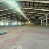 Cho Thuê Kho Xưởng 2.650M2 Bến Lức, Long An. Hệ Thống Pccc Tự Động. Điện Bình 1250Kva