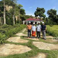 Cơ Hội Đầu Tư Sinh Lời Vượt Trội Biệt Thự The Forest Villas, Hòa Bình - Giá Chỉ 17. 5 Triệu/M2