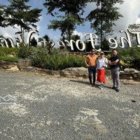 Cơ Hội Đầu Tư Sinh Lời Vượt Trội Biệt Thự The Forest Villas, Hòa Bình - Giá Chỉ 17. 5 Triệu/M2