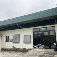 Thanh Lý Lô Góc 700M2 Trục Chính Xã Phú Thủy, Huyện Lệ Thủy, Tỉnh Quảng Bình