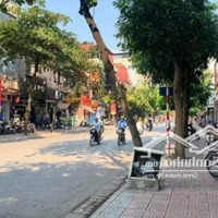Cho Thuê Nhà Mặt Phố Vũ Ngọc Phan Diện Tích: 115M2, Nhà Xây 7 Tầng, Thang Máy, Mặt Tiền 7M, Vị Trí Đắc Địa