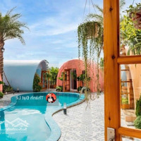 Cần Bán Nhanh Homestay 500M2 Rất Chill Trên Đỉnh Đồi Đảo Tuần Châu, Tp. Hạ Long