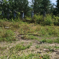 Bán Đất Thương Mại Dịch Vụ Biển An Bàng Lô Cuối Cùng Ven Biển Hội An
