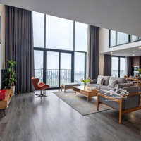 Cho Thuê Cc Pentstudio West Lake 90M2/Giá Chỉ Từ 15 Triệu/Th, View Thoáng, Hướng Hồ Tây