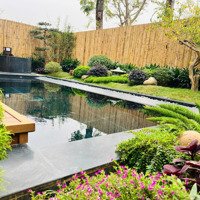 Sốc! Biệt Thự Khoáng Nóng Tự Nhiên-Đầu Tư Đỉnh Cao, Nghỉ Dưỡng Xa Hoa, Cam Kết Thu Nhập 70 Triệu/Tháng