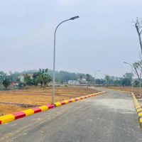 Cắt Lỗ 200 Triệu Bán Nhanh Lô Đất Đẹp Nhất Tại Sơn Đông, Sơn Tây 1,5 Tỷ, 61,6M2, Mặt Tiền 5,2M.
