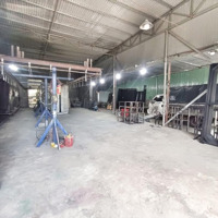 Cho Thuê Kho 1000 Kcn Hòa Khánh, Đà Nẵng
