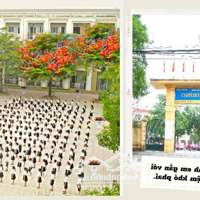 Nhà Phường Hạng 1 Việt Hưng, Trung Tâm Quận Long Biên - Diện Tích Đẹp-Giá Nhẹ Mở Hàng Đầu Xuan