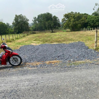 Chính Chủ Hạ Giá Bán Gấp Đất Củ Chi 4000M2 Giá Chỉ 8Ty ( Có Tl). Shr Chính Chủ. Đất Đẹp Bằng Phẳng.