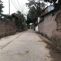 Cc Gửi Bán Lô Góc 119M2 Tại Chu Phan Mê Linh Hà Nội,Mặt Tiền6.5M, Oto Vào Đất Chỉ 27 Triệu/M2 0969488683