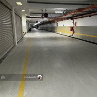 Cho Thuê Các Căn Lớn Tại Sala 1000M2, 1400M2, Bàn Giao Hoàn Thiện, Đặt Biệt Hầm Riêng Free