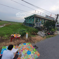 Chuyển Nhượng Ô Đất Khu Dân Cư Tập Trung Xã Xuân Hồng, Huyện Xuân Trường, Tỉnh Nam Định
