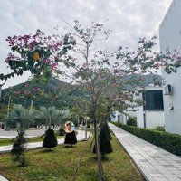 Lô Đất Tái Định Cư Hòn Rớ 2, Hướng Tây Nam Đường Nhựa Rộng 17.5M - Nhánh Sông. - Đường Số 7