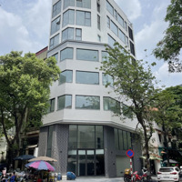 Cho Thuê Nhà Mp Phạm Ngọc Thạch 85M2 X 4T, Mt9M, Vị Trí Giữa Ngã 3 Xã Đàn, Kd Sạch Sẽ