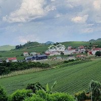 Bán Đất Tại Xã Chiềng Khoa, Vân Hồ, Sơn La, 50000M2, Chính Chủ Đẹp, Nhiều Tiện Ích