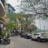 Nguyên Căn Sân Vườn Hoàng Cầu-Mai Anh Tuấn 70M2X4Tmặt Tiền6M Rộng Rãi, Ngõ Ô Tô Tránh Đỗ Thoải Mái 20 Triệu