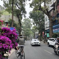 Bán Đất Mặt Phố Hoàng Hoa Thám, 86,8 Tỷ, 268M2, View Đẹp, Q.ba Đình, Hà Nội