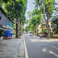 (Hiếm) Mặt Phố Tăng Bạt Hổ - Lô Góc 3 Thoáng -Diện Tích316M - Nở Hậu - Mặt Tiền 12M - Giá Bán 139.5 Tỷ