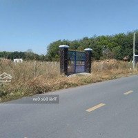 Bán Lô Mặt Tiền Đường Đỗ Đăng Tuyển Xã Nhuận Đức, Diện Tích: 2147M2 (Ngang 28M Có 1071M2 Thổ Cư)