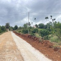 Đất Ven Đà Lạt Cách Chợ Tân Hà 2,5Km