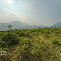 Rẻ Nhất Bãi Dài 1625M/100M Đất Ở View Thung Lũng Cực Đẹp Tại Tiến Xuân, Thạch Thất