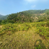 Rẻ Nhất Bãi Dài 1625M/100M Đất Ở View Thung Lũng Cực Đẹp Tại Tiến Xuân, Thạch Thất