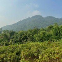 Rẻ Nhất Bãi Dài 1625M/100M Đất Ở View Thung Lũng Cực Đẹp Tại Tiến Xuân, Thạch Thất