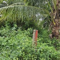 Bán Đất Ở & Kinh Doanh Homestay Khu Dân Cư Thoáng Mát Hội An