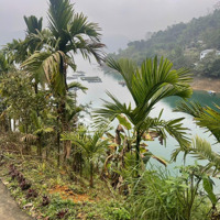 Bán Lô Đất 2700M2 Có 100M Bám Lòng Hồ Hoà Bình. Trung Tâm Thành Phố. Giá Nhỉnh 6 Tỷ. Liên Hệ: 0984952921