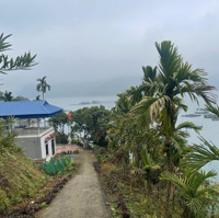 Bán Lô Đất 2700M2 Có 100M Bám Lòng Hồ Hoà Bình. Trung Tâm Thành Phố. Giá Nhỉnh 6 Tỷ. Liên Hệ: 0984952921