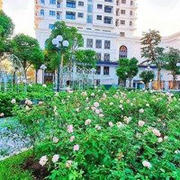 Bán Chcc, 3 Phòng Ngủ Diện Tích 135M2 Tại Dự Án Iris Garden, Full Đồ, Giá Chỉ Từ 8Tỷ. Liên Hệ: 0397942003