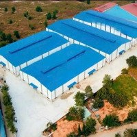 Cho Thuê Xưởng Mới Xây Khuôn Viên 22.0000M2.Pccc Tự ,Đầy Đủ Giấy Phép.gần Khu Cn Nam Tân Uyên,Bd