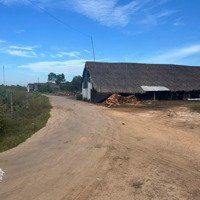 Bán Đất Tại Nhánh Đường Đt 757, Bình Long, Bình Phước, 290 Tri Bình Phước, 290 Triệu, 241 M2 - Hot!