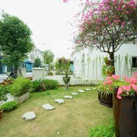 Siêu Phẩm Biệt Thự Biệt Lập Đã Có Sổ Từng Căn Đẳng Cấp 5*