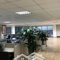 Bán Tòa Nhà 2Mt Nguyễn Ngọc Lộc - Đường 3/2, Quận 10 -Diện Tích8 X18M - Hđ Thuê 175 Triệu - Giá Bán 43 Tỷ