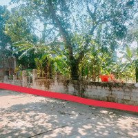 Bán Đất Yên Bình, Thạch Thất, Hà Nội, Diện Tích 378 M2