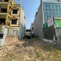 Siêu Phẩm Trục Chính Kinh Doanh