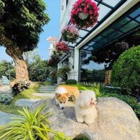 Biệt Thự Kđt Trung Yên - Căn Góc Gần Vườn Hoa - 210M2 Sổ Đỏ - Giành Cho Giới Siêu Giàu Muốn Ở 99 Tỷ