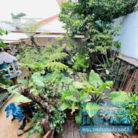 Nhà Vườn Bao Đẹp,TC 10*39m nở hậu gần 25m,Khu Đường A,Ngay Trung Tâm Thành Phố,gần Phạm Ngũ  Lão