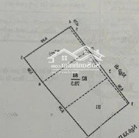 Bán Nhanh! Mặt Ngõ To Như Phố Xã Đàn-80M-Mt6,5M-Lô Góc-Ô Tô Tránh-Kd Đỉnh-Văn Phòng-Ở Sướng