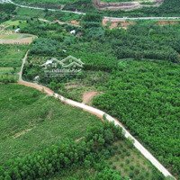 Đất Rộng 50.000M2 Có 400M2 Đất Ở Xã Hòa Ninh.