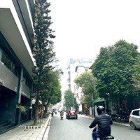 Biệt Thự Sân Vườn Phố Tây -Lô Góc Ngõ Thông Gara Ô Tô Doanh Thu 200 Triệu/Thángdiện Tích197M Giá Đầu Tư 65Tỷ